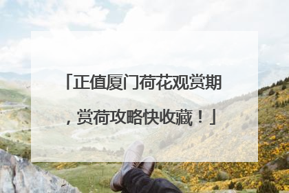 正值厦门荷花观赏期，赏荷攻略快收藏！