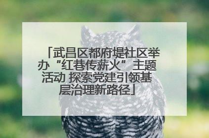 武昌区都府堤社区举办“红巷传薪火”主题活动 探索党建引领基层治理新路径