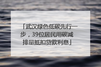 武汉绿色低碳先行一步，39位居民用碳减排量抵扣贷款利息