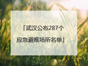 武汉公布287个应急避难场所名单
