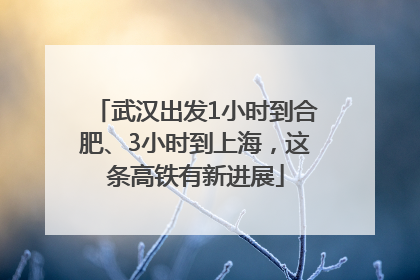 武汉出发1小时到合肥、3小时到上海，这条高铁有新进展