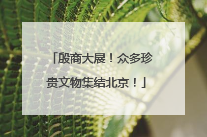 殷商大展！众多珍贵文物集结北京！