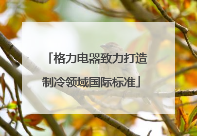 格力电器致力打造制冷领域国际标准