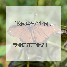 校园建在产业园，专业建在产业链