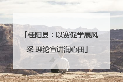 桂阳县：以赛促学展风采 理论宣讲润心田