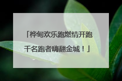 桦甸欢乐跑燃情开跑 千名跑者嗨翻金城！
