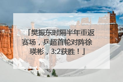 樊振东时隔半年重返赛场，乒超首轮对阵徐瑛彬，3:2获胜！