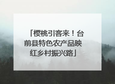 樱桃引客来！台前县特色农产品映红乡村振兴路
