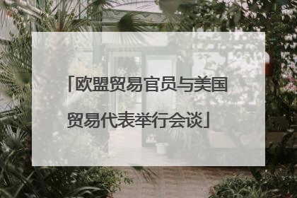 欧盟贸易官员与美国贸易代表举行会谈