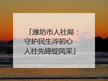 潍坊市人社局：守护民生淬初心 人社先锋绽风采