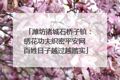 潍坊诸城石桥子镇：绣花功夫织密平安网 百姓日子越过越踏实