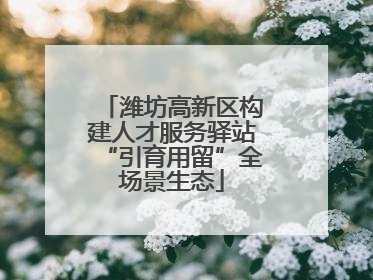 潍坊高新区构建人才服务驿站“引育用留”全场景生态