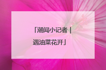 潮闻小记者｜遇油菜花开