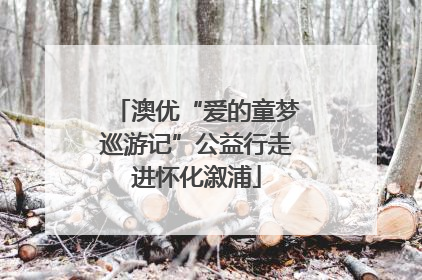 澳优“爱的童梦巡游记”公益行走进怀化溆浦