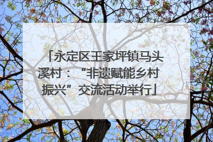 永定区王家坪镇马头溪村：“非遗赋能乡村振兴”交流活动举行