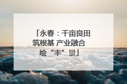 永春：千亩良田筑根基 产业融合绘“丰”景