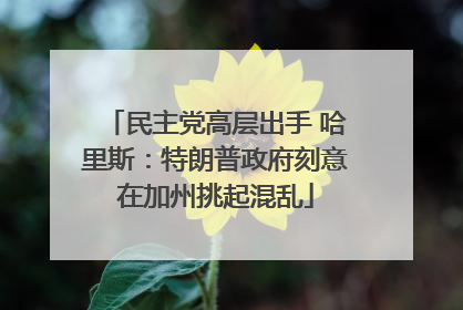 民主党高层出手 哈里斯：特朗普政府刻意在加州挑起混乱