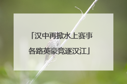 汉中再掀水上赛事 各路英豪竞逐汉江
