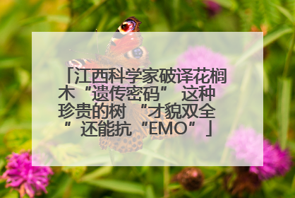 江西科学家破译花榈木“遗传密码” 这种珍贵的树 “才貌双全”还能抗“EMO”
