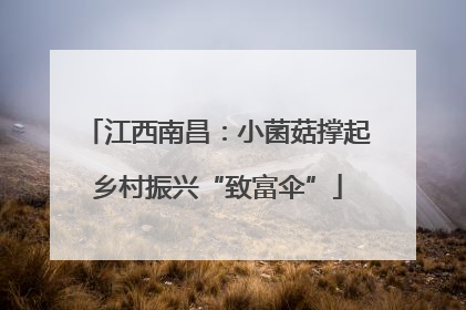 江西南昌：小菌菇撑起乡村振兴“致富伞”