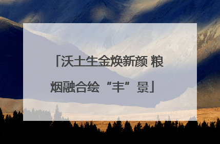 沃土生金焕新颜 粮烟融合绘“丰”景