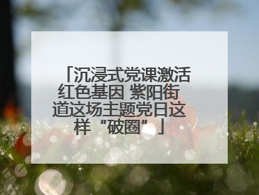 沉浸式党课激活红色基因 紫阳街道这场主题党日这样“破圈”