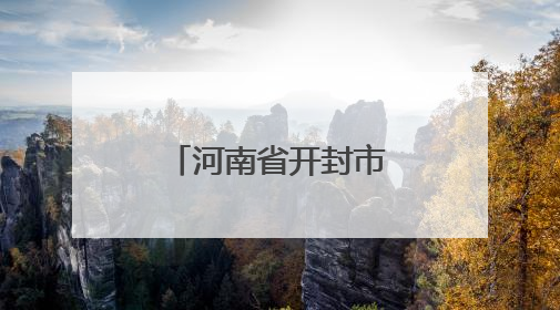 河南省开封市政协委员陈国平：科技开启兰考乡村振兴路