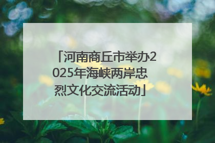 河南商丘市举办2025年海峡两岸忠烈文化交流活动