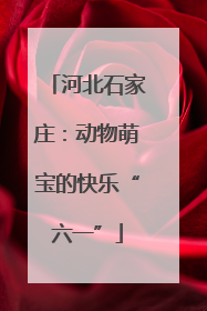 河北石家庄：动物萌宝的快乐“六一”