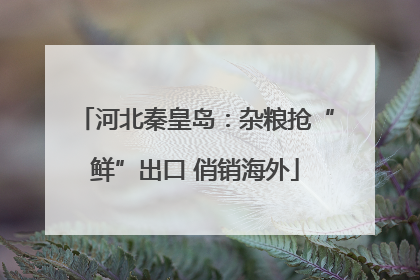 河北秦皇岛：杂粮抢“鲜”出口 俏销海外