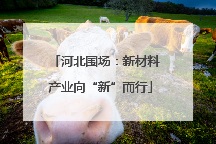 河北围场：新材料产业向“新”而行