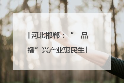 河北邯郸：“一品一播”兴产业惠民生