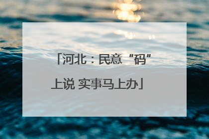 河北：民意“码”上说 实事马上办