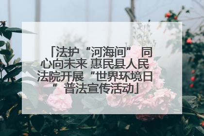 法护“河海间” 同心向未来 惠民县人民法院开展“世界环境日”普法宣传活动