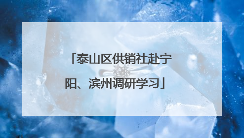 泰山区供销社赴宁阳、滨州调研学习