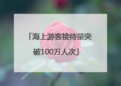 海上游客接待量突破100万人次