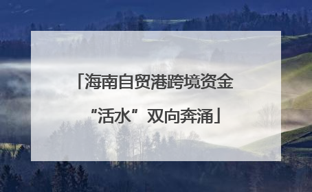 海南自贸港跨境资金“活水”双向奔涌