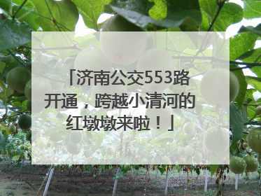 济南公交553路开通，跨越小清河的红墩墩来啦！