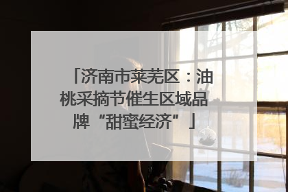济南市莱芜区：油桃采摘节催生区域品牌“甜蜜经济”