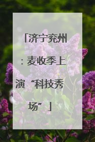 济宁兖州：麦收季上演“科技秀场”