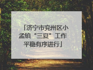 济宁市兖州区小孟镇“三夏”工作平稳有序进行