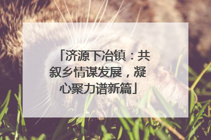 济源下冶镇：共叙乡情谋发展，凝心聚力谱新篇