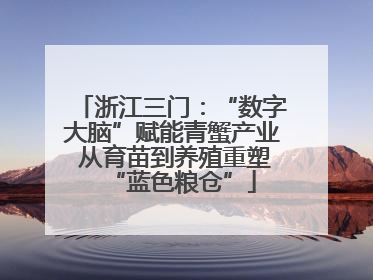 浙江三门：“数字大脑”赋能青蟹产业 从育苗到养殖重塑“蓝色粮仓”