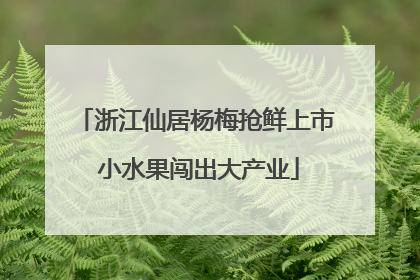 浙江仙居杨梅抢鲜上市 小水果闯出大产业