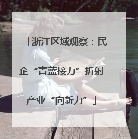 浙江区域观察：民企“青蓝接力”折射产业“向新力”