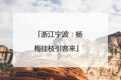 浙江宁波：杨梅挂枝引客来