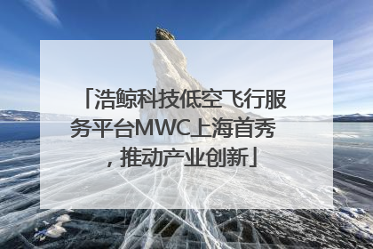浩鲸科技低空飞行服务平台MWC上海首秀，推动产业创新