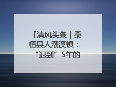 清风头条｜桑植县人潮溪镇：“迟到”5年的生态林补偿金