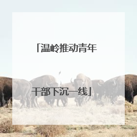 温岭推动青年干部下沉一线