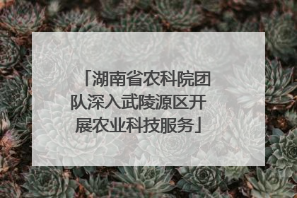 湖南省农科院团队深入武陵源区开展农业科技服务